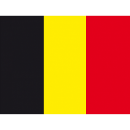 Transport Persoane Spre Belgia